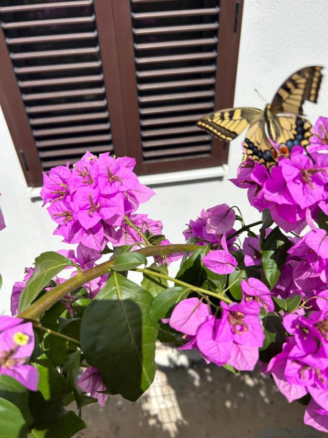 Garden Apartment Dina With Free Parking Split Exterior foto
